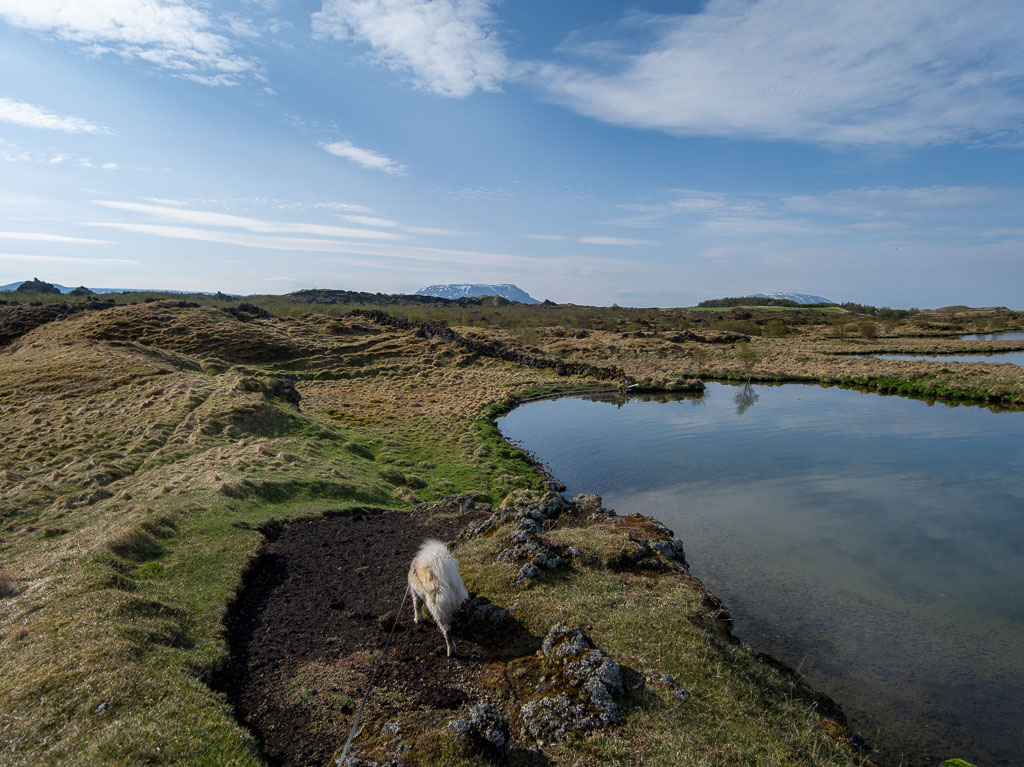 Pentax 645D / 18 Pentax 645D   18