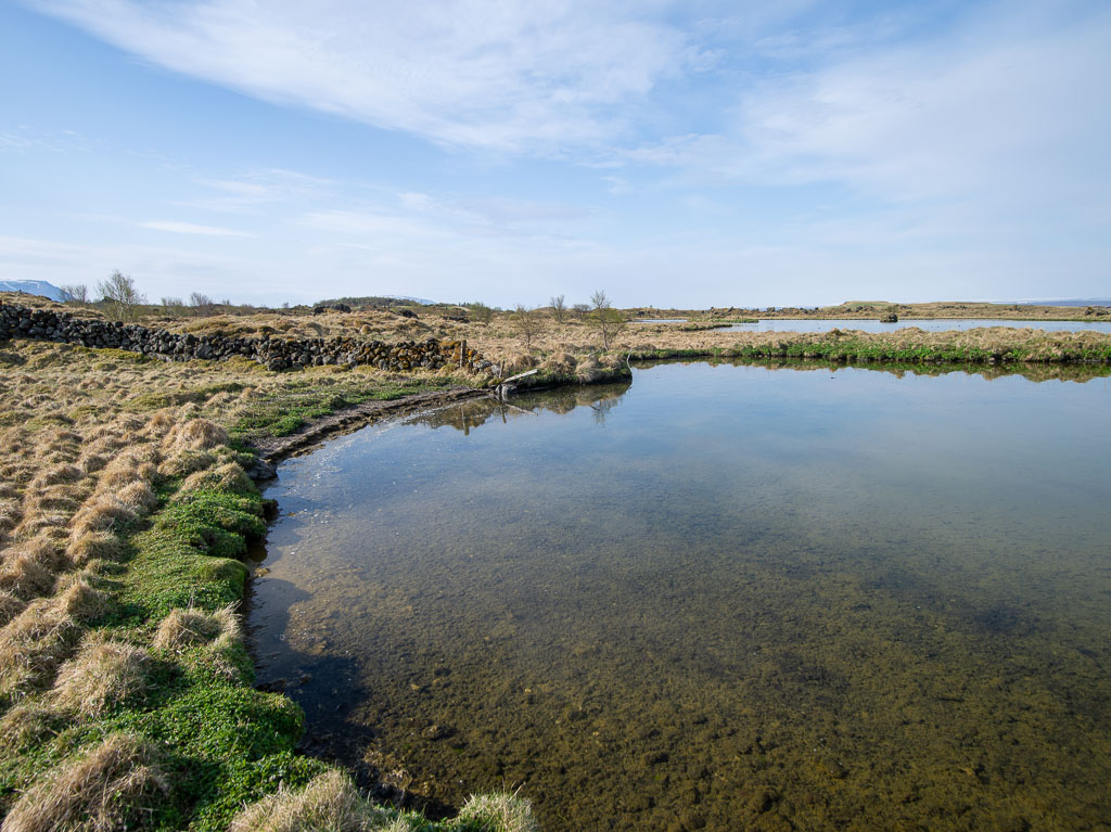 Pentax 645D / 18 Pentax 645D   18