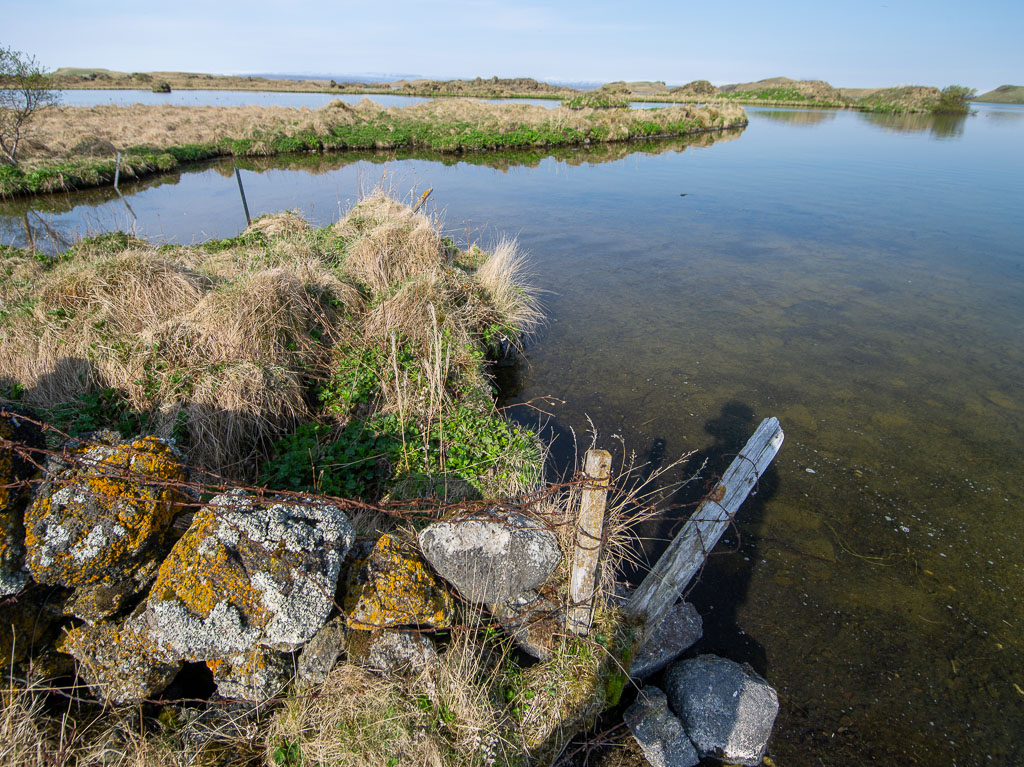 Pentax 645D / 18 Pentax 645D   18