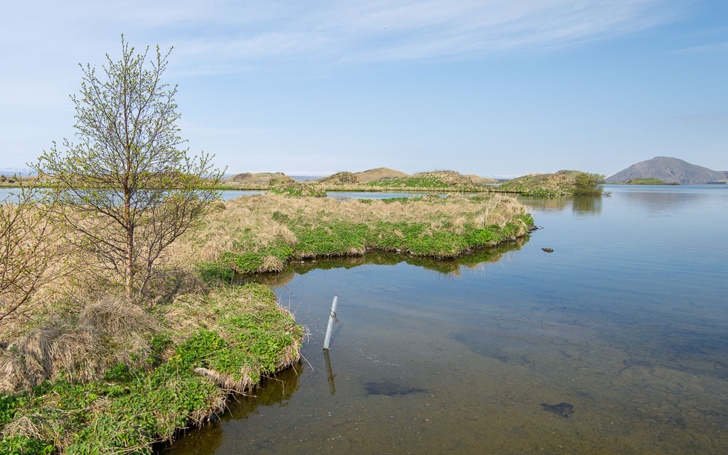 Pentax 645D / 18 Pentax 645D   18