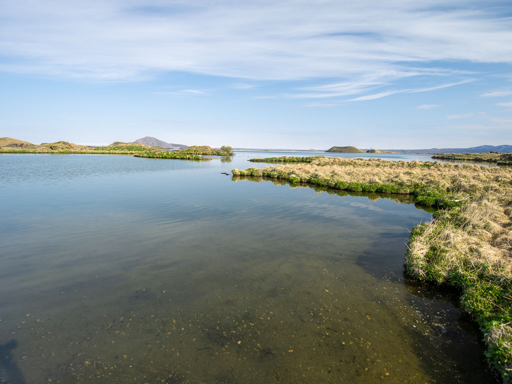 Pentax 645D / 18 Pentax 645D   18