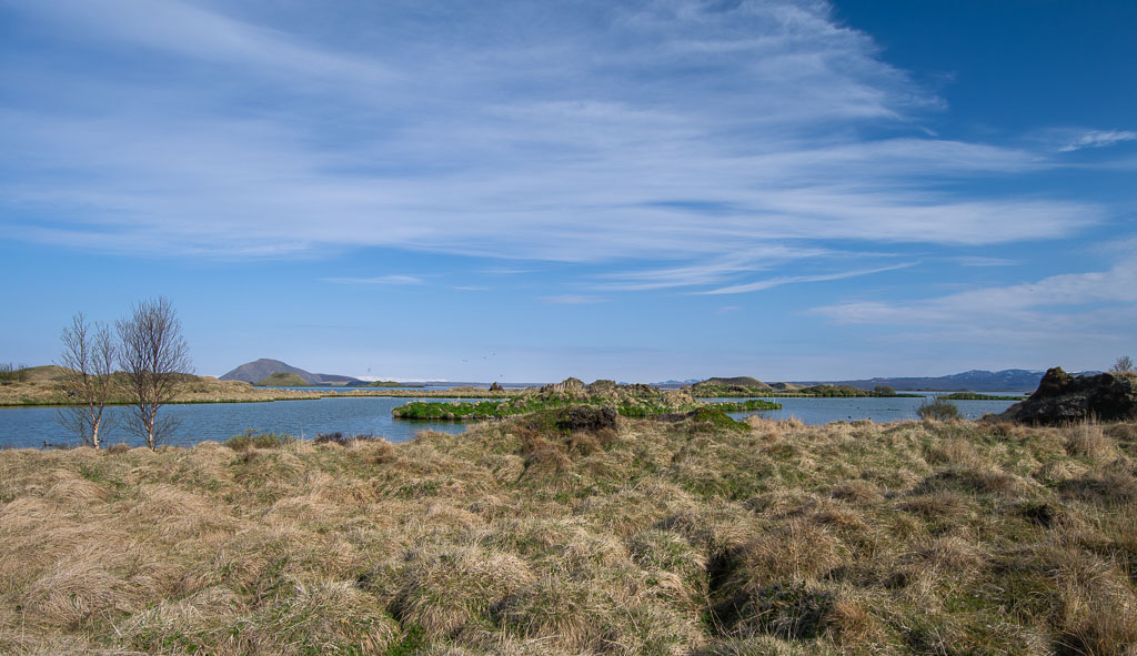 Pentax 645D / 18 Pentax 645D   18