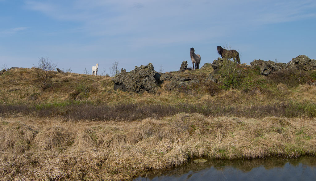 Pentax 645D / 18 Pentax 645D   18