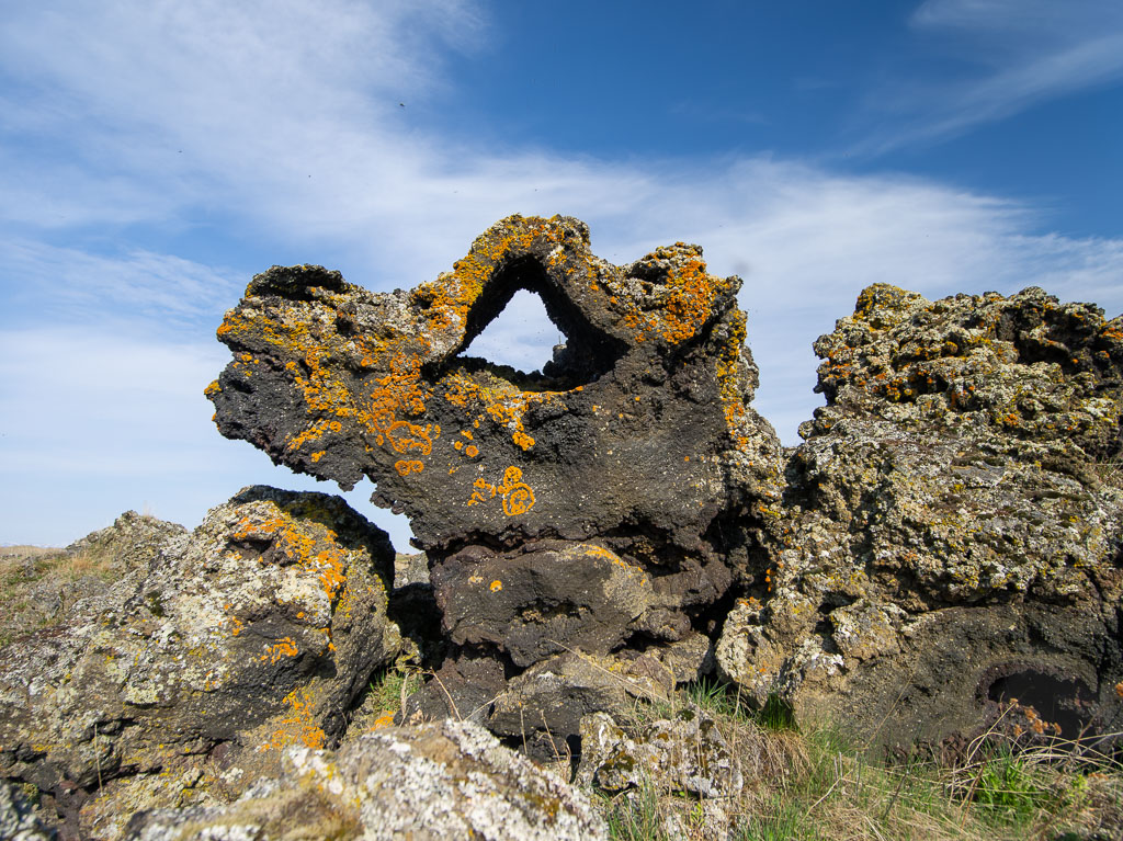 Pentax 645D / 18 Pentax 645D   18