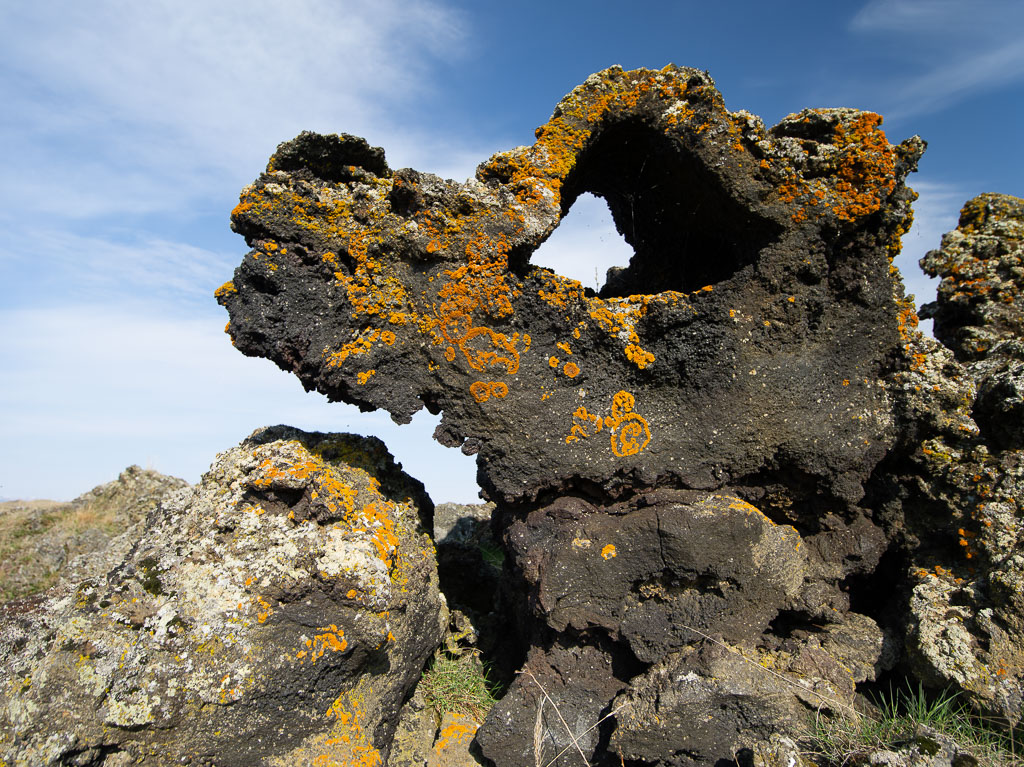 Pentax 645D / 18 Pentax 645D   18