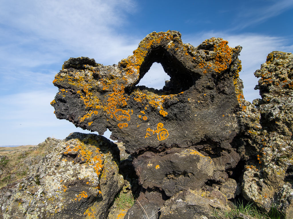 Pentax 645D / 18 Pentax 645D   18