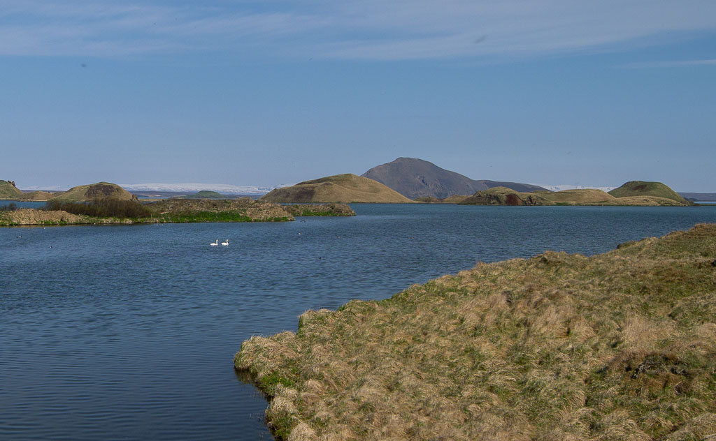 Pentax 645D / 18 Pentax 645D   18