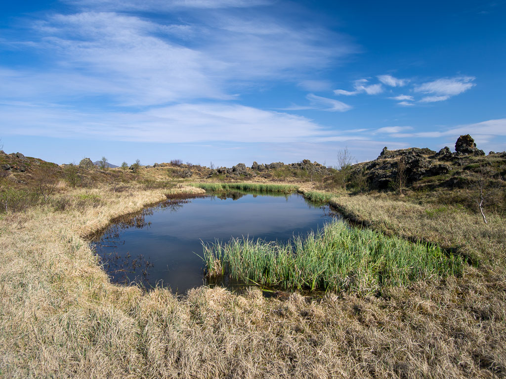 Pentax 645D / 18 Pentax 645D   18