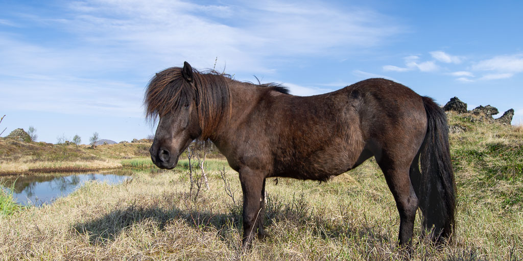 Pentax 645D / 18 Pentax 645D   18