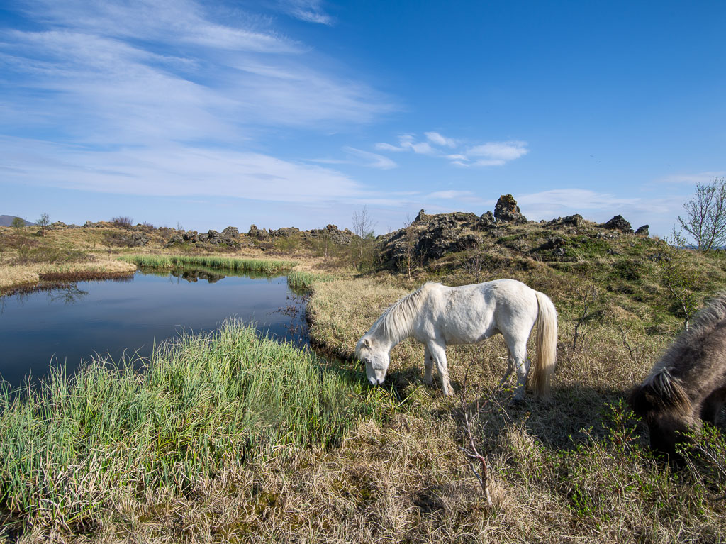 Pentax 645D / 18 Pentax 645D   18