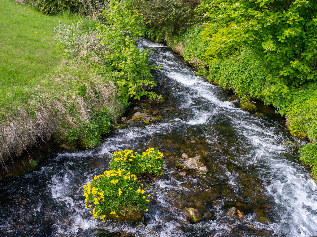 Pentax 645D / 27 Pentax 645D   27