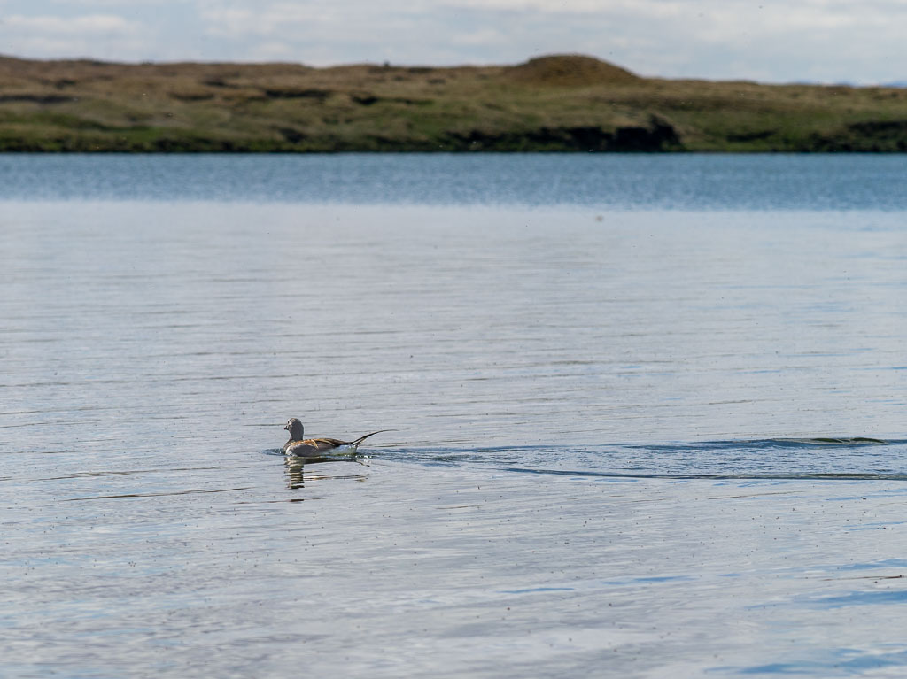 Pentax 645D / 31 Pentax 645D   31