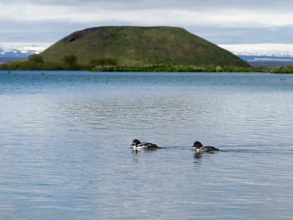 Pentax 645D / 31 Pentax 645D   31