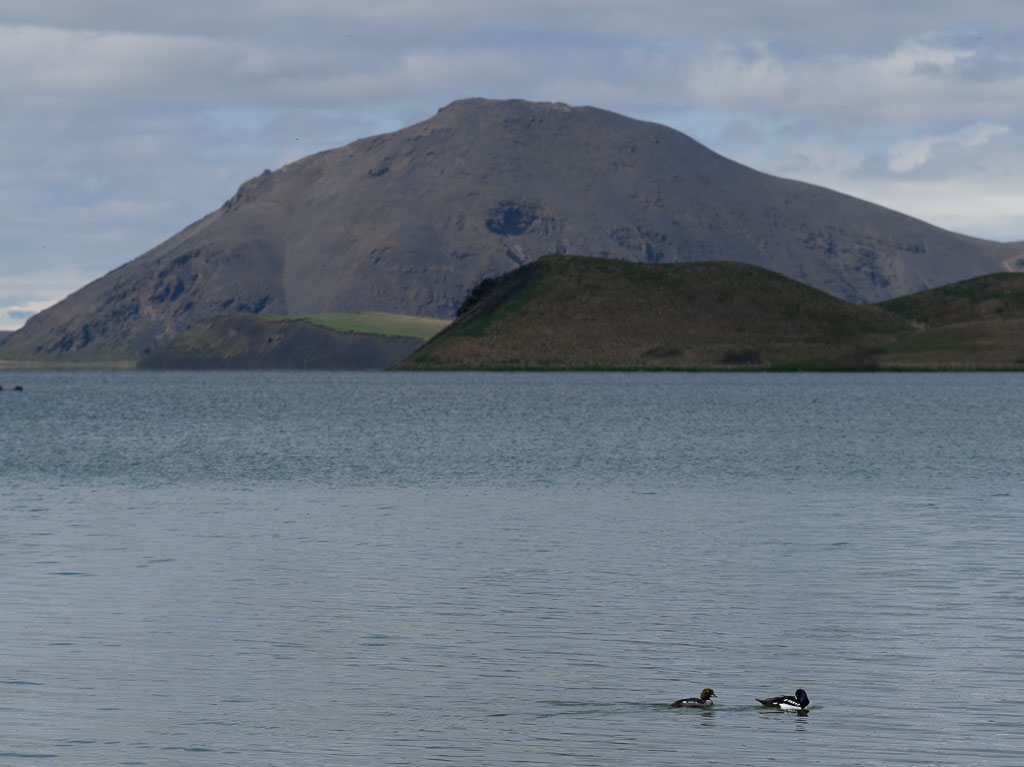 Pentax 645D / 31 Pentax 645D   31