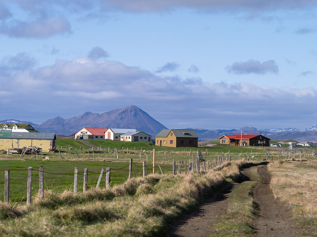 Pentax 645D / 31 Pentax 645D   31