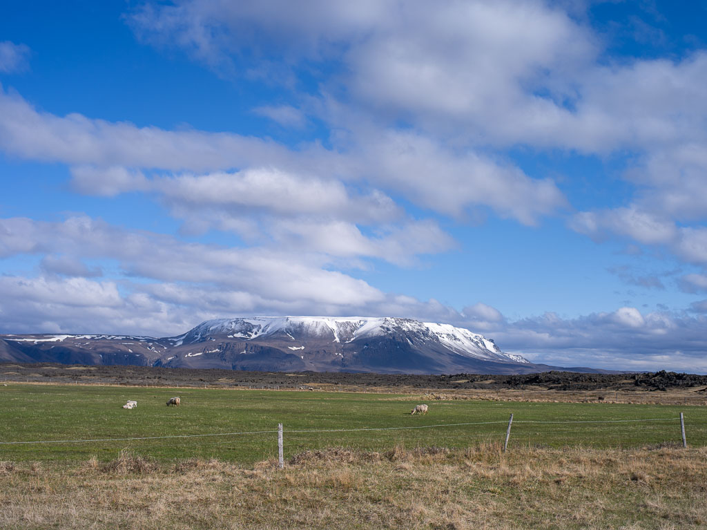 Pentax 645D / 31 Pentax 645D   31