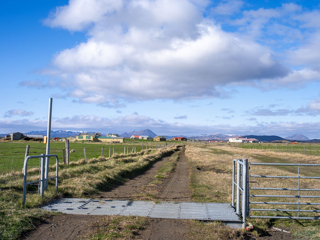 Pentax 645D / 31 Pentax 645D   31