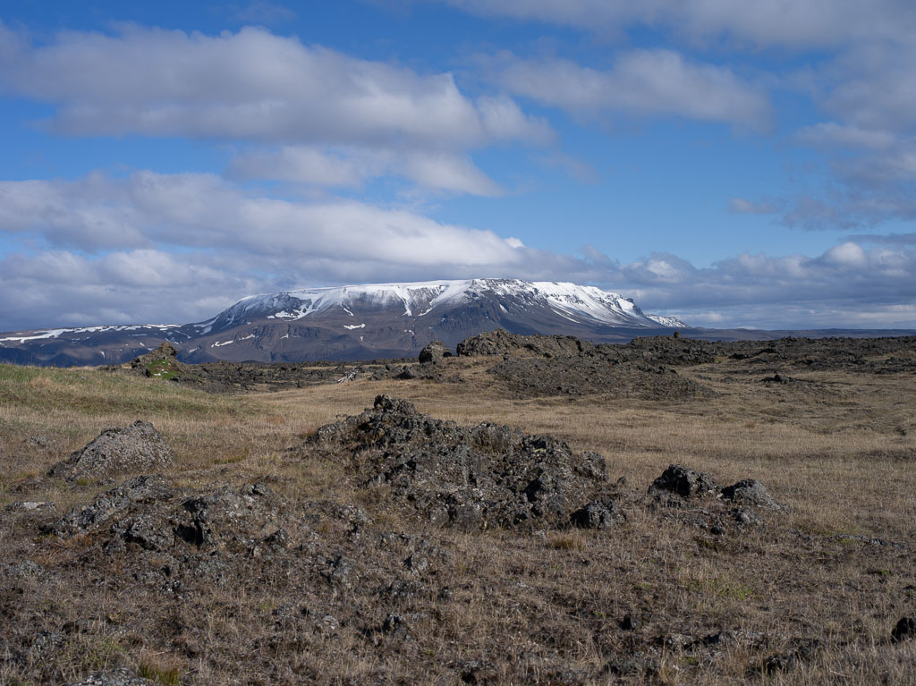 Pentax 645D / 31 Pentax 645D   31