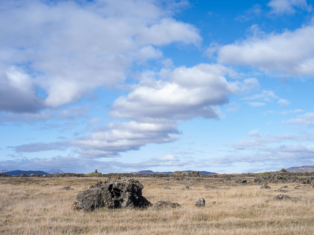 Pentax 645D / 31 Pentax 645D   31