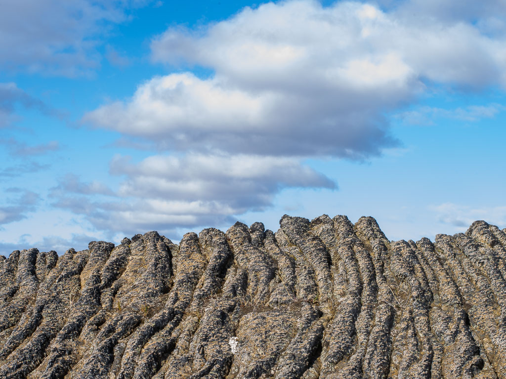 Pentax 645D / 31 Pentax 645D   31