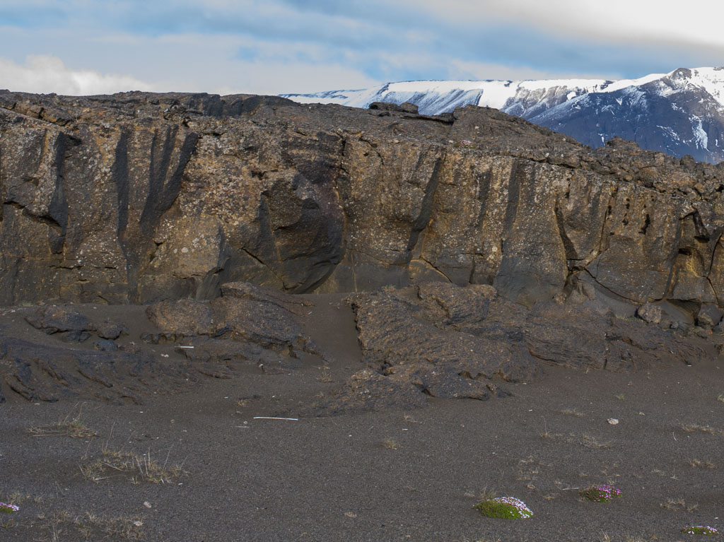 Pentax 645D / 31 Pentax 645D   31