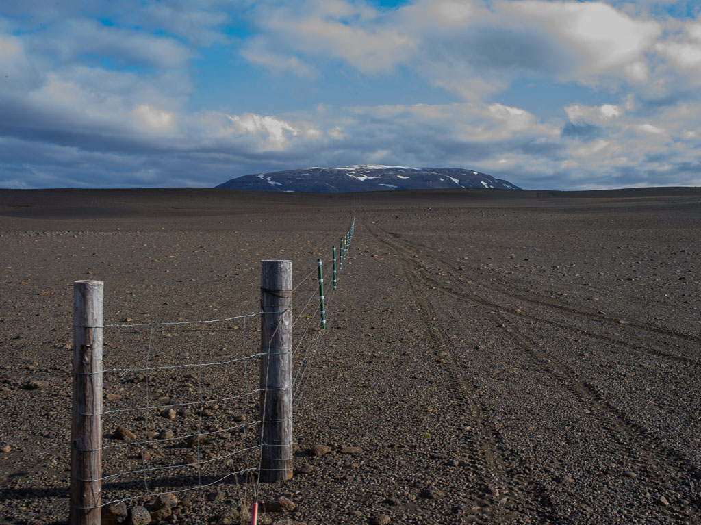 Pentax 645D / 31 Pentax 645D   31