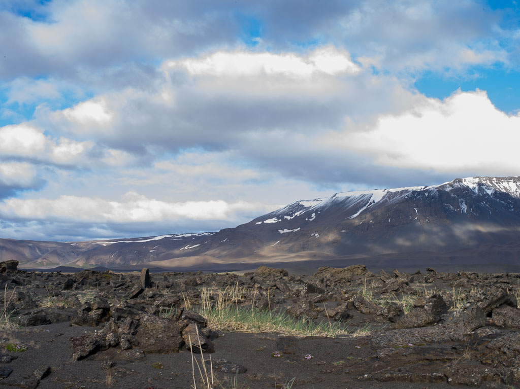 Pentax 645D / 31 Pentax 645D   31