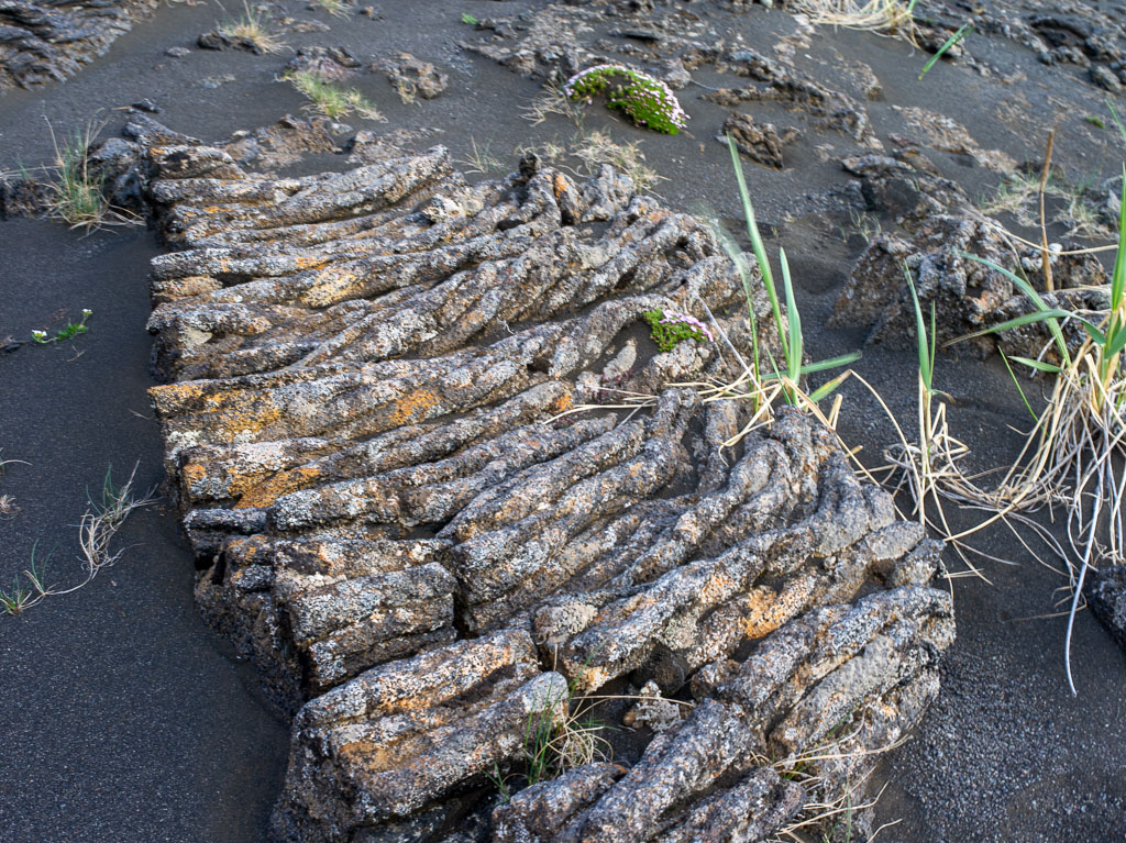 Pentax 645D / 31 Pentax 645D   31