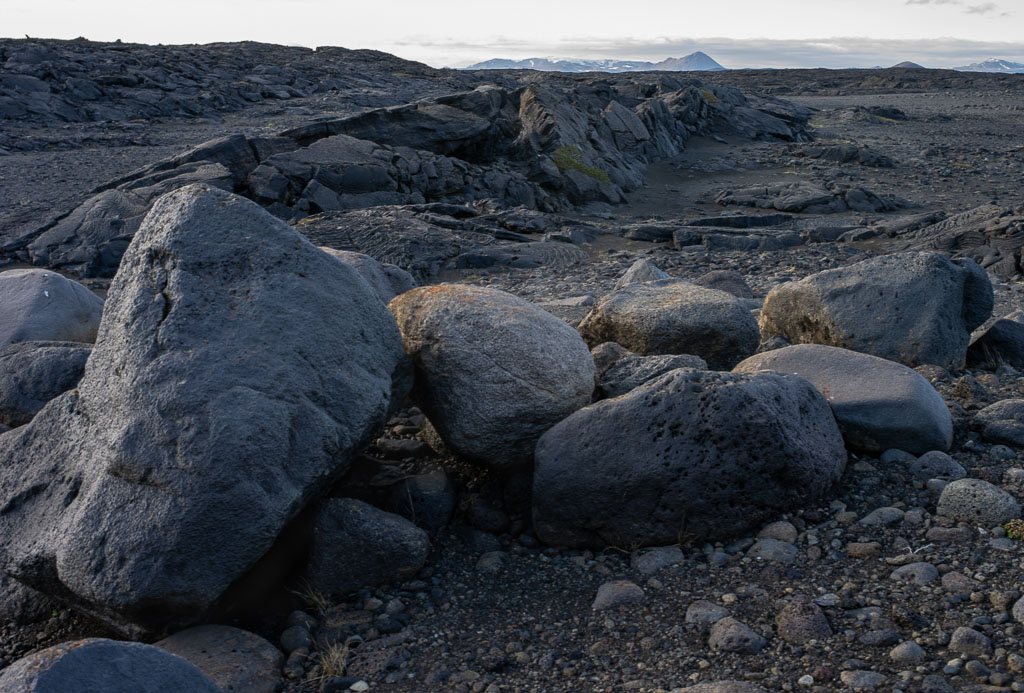 Pentax 645D / 31 Pentax 645D   31