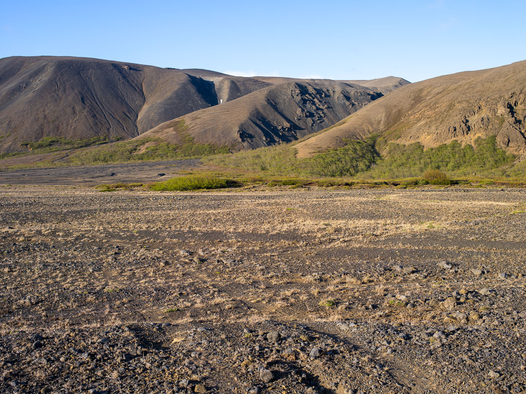 Pentax 645D / 31 Pentax 645D   31