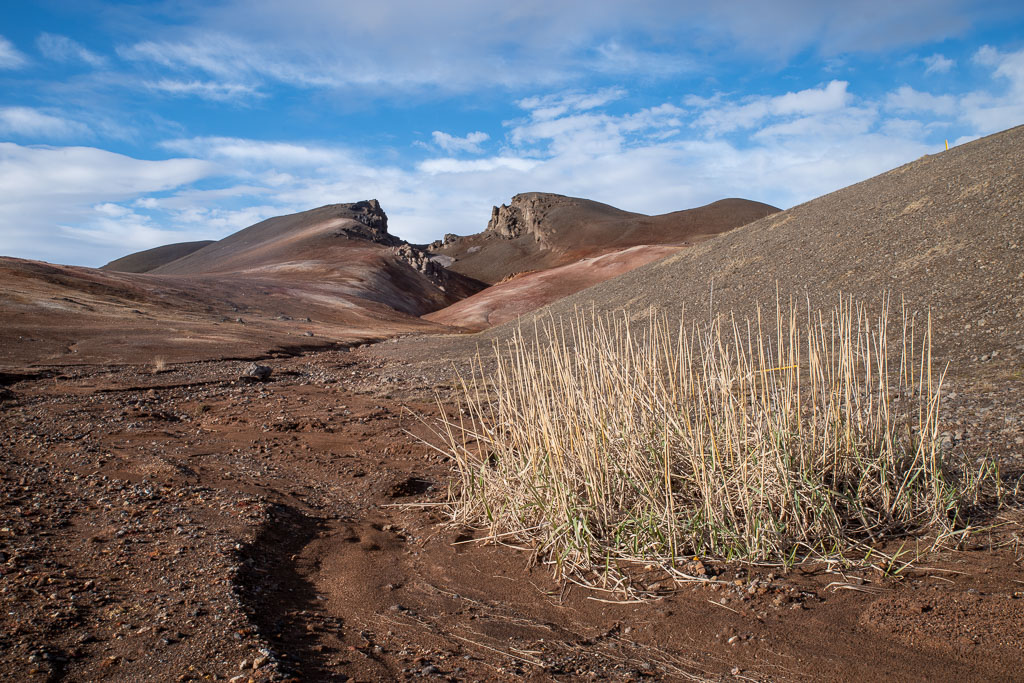 Pentax K-1 / 13 Pentax K-1   13