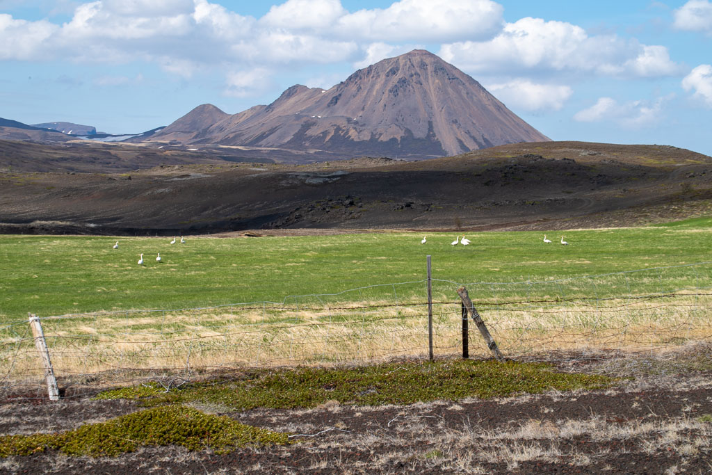 Pentax K-1 / 18 Pentax K-1   18
