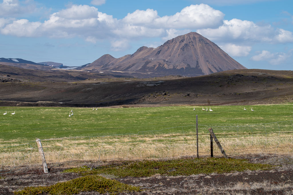 Pentax K-1 / 18 Pentax K-1   18