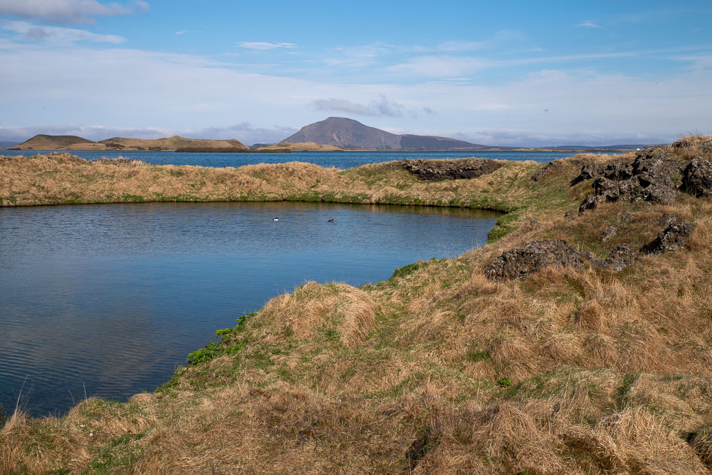 Pentax K-1 / 19 Pentax K-1   19