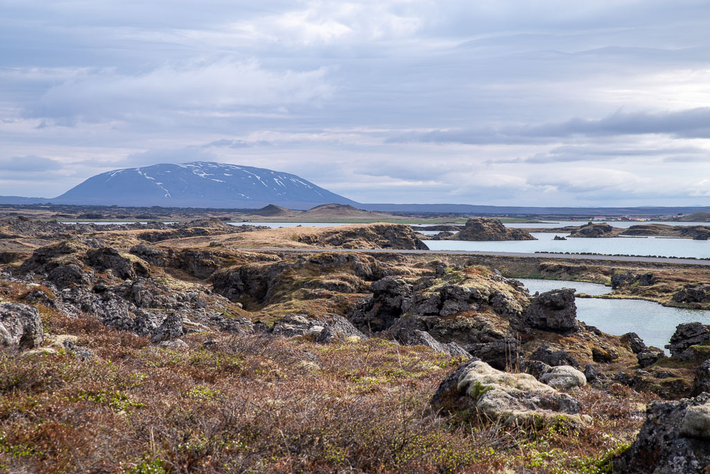 Pentax K-1 / 19 Pentax K-1   19