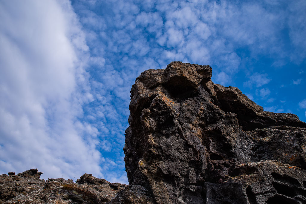Pentax K-1 / 19 Pentax K-1   19