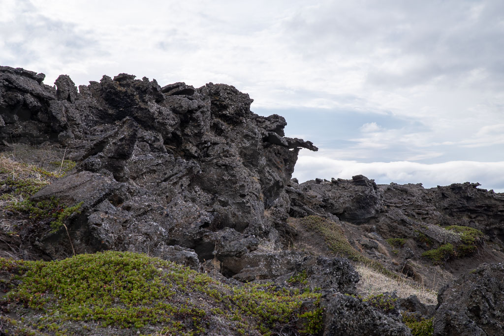 Pentax K-1 / 19 Pentax K-1   19