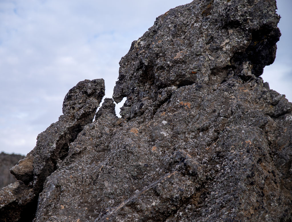 Pentax K-1 / 19 Pentax K-1   19