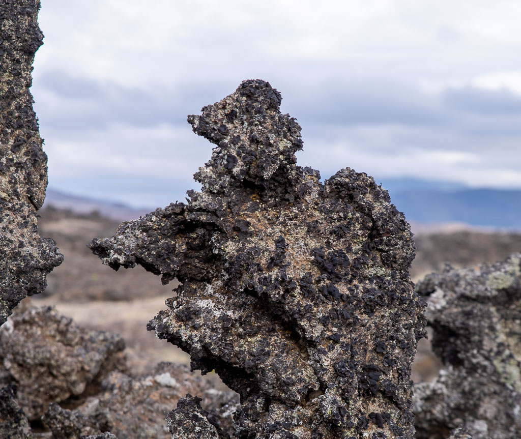 Pentax K-1 / 19 Pentax K-1   19