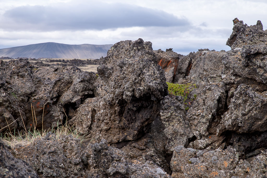 Pentax K-1 / 19 Pentax K-1   19