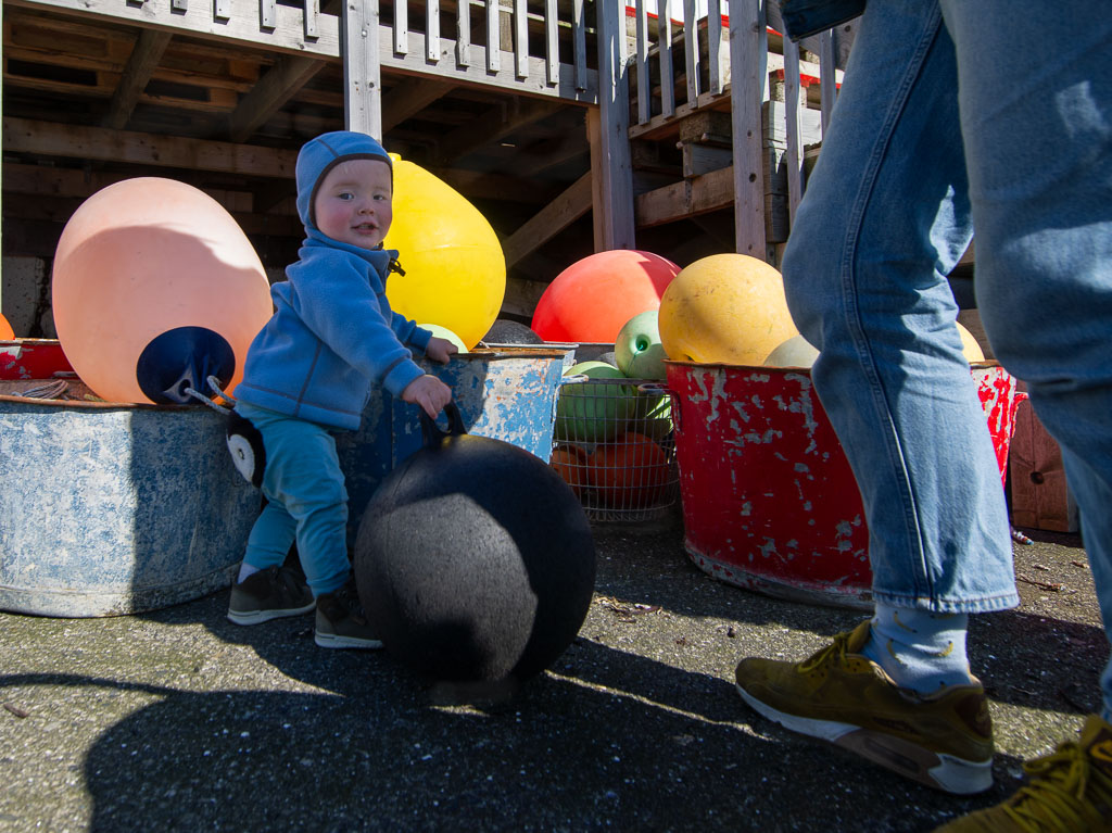 Pentax 645D / 7 Pentax 645D   7