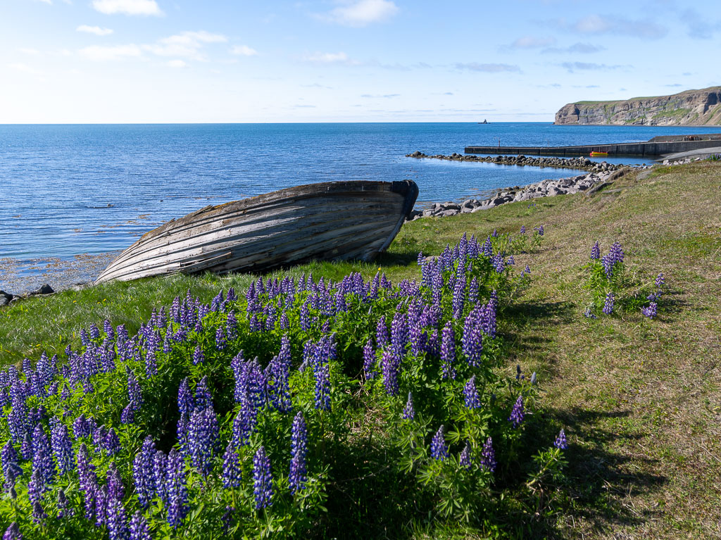 Pentax 645D / 7 Pentax 645D   7