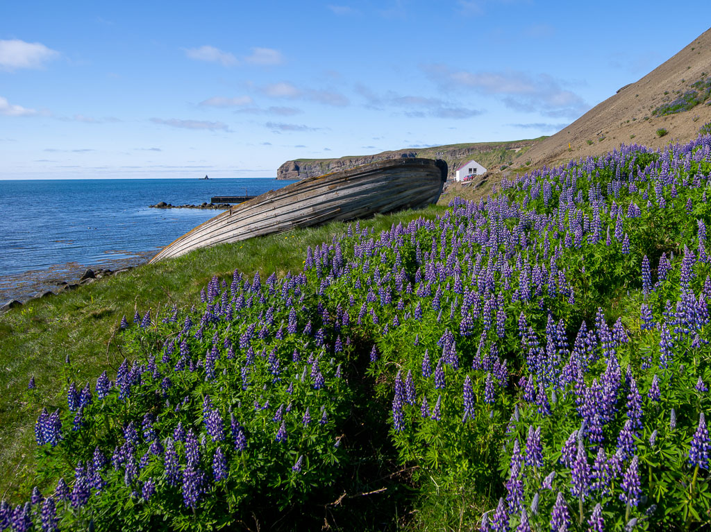 Pentax 645D / 7 Pentax 645D   7