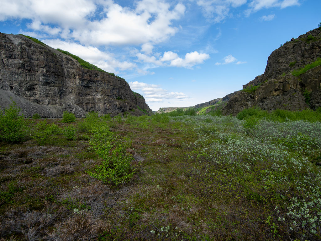 Pentax 645D / 16 Pentax 645D   16