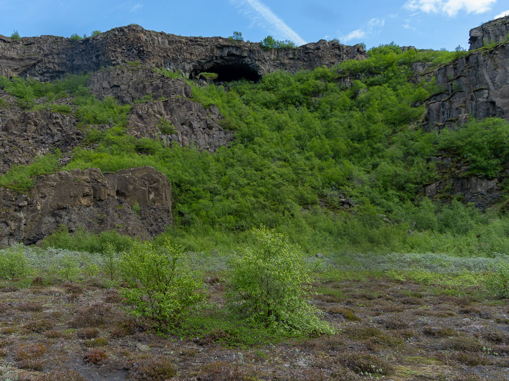 Pentax 645D / 16 Pentax 645D   16