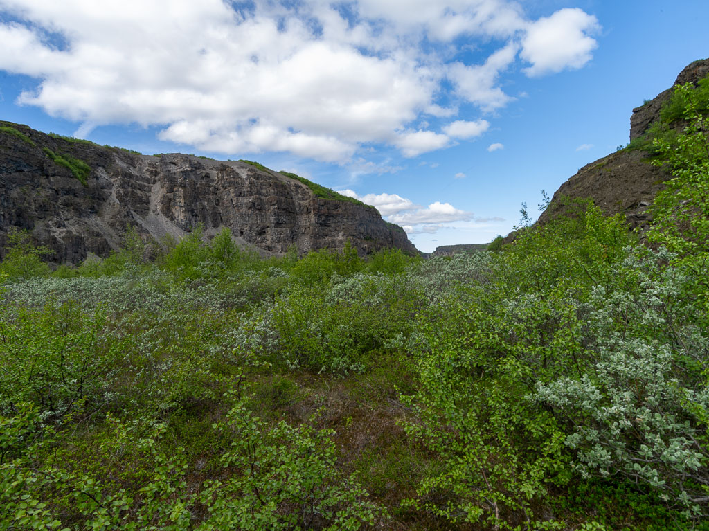 Pentax 645D / 16 Pentax 645D   16