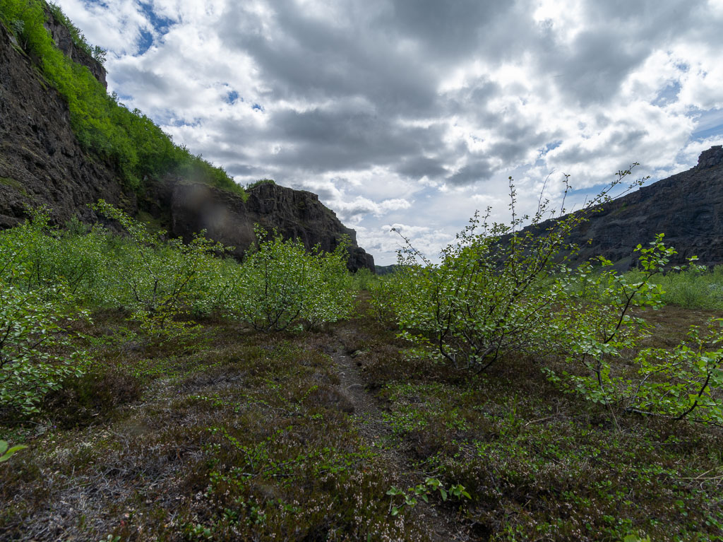 Pentax 645D / 16 Pentax 645D   16