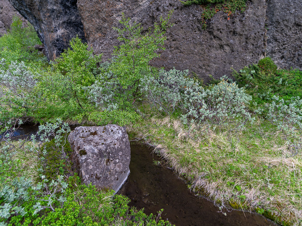 Pentax 645D / 16 Pentax 645D   16