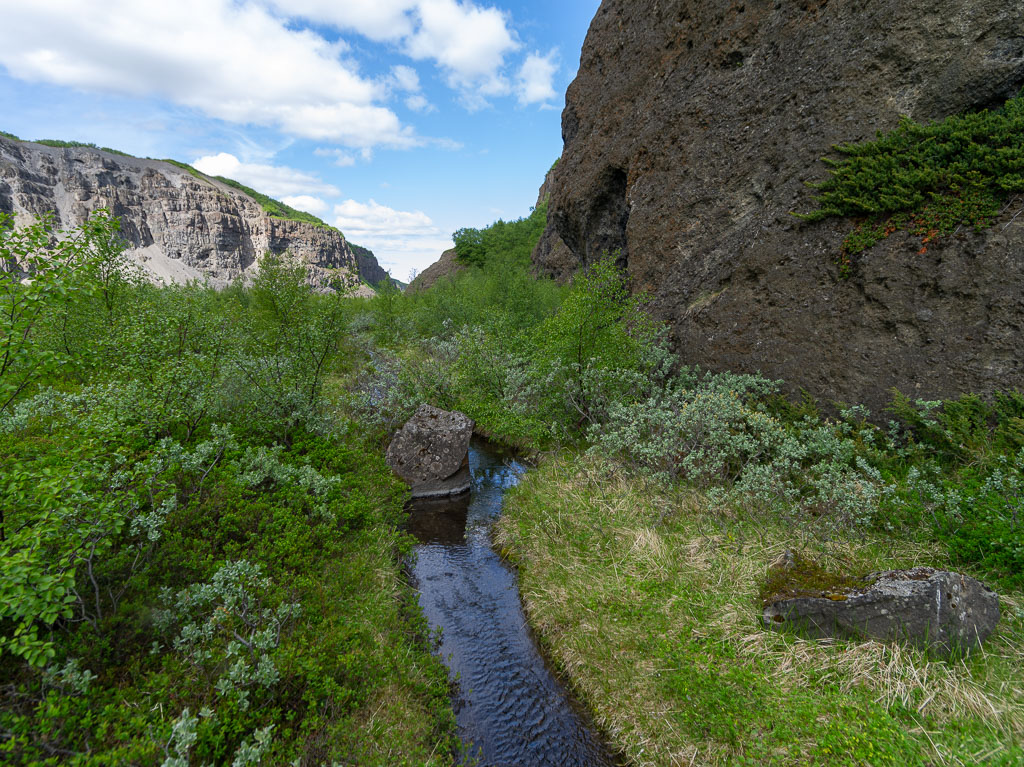 Pentax 645D / 16 Pentax 645D   16