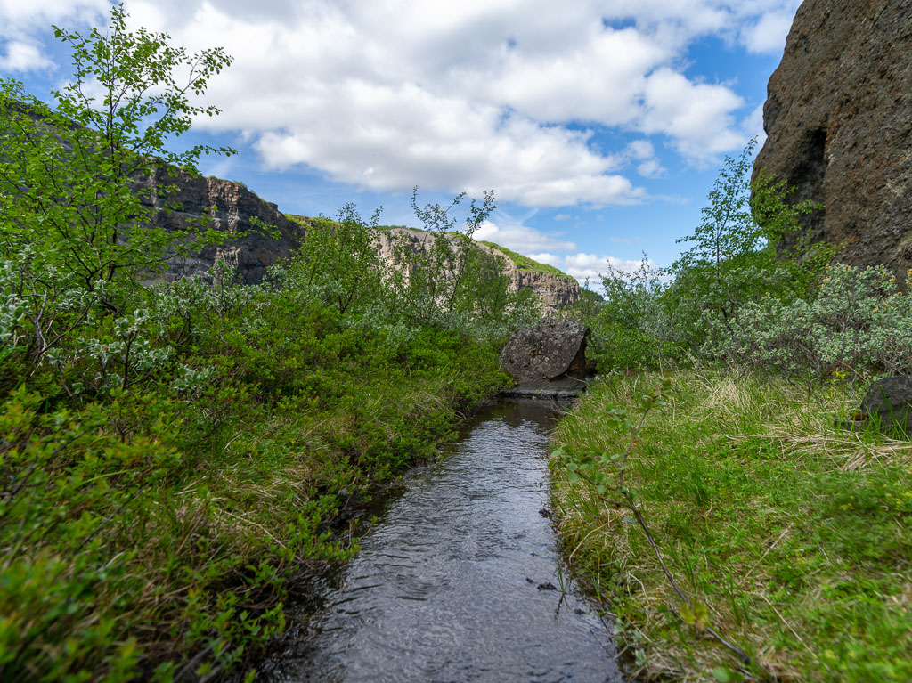 Pentax 645D / 16 Pentax 645D   16